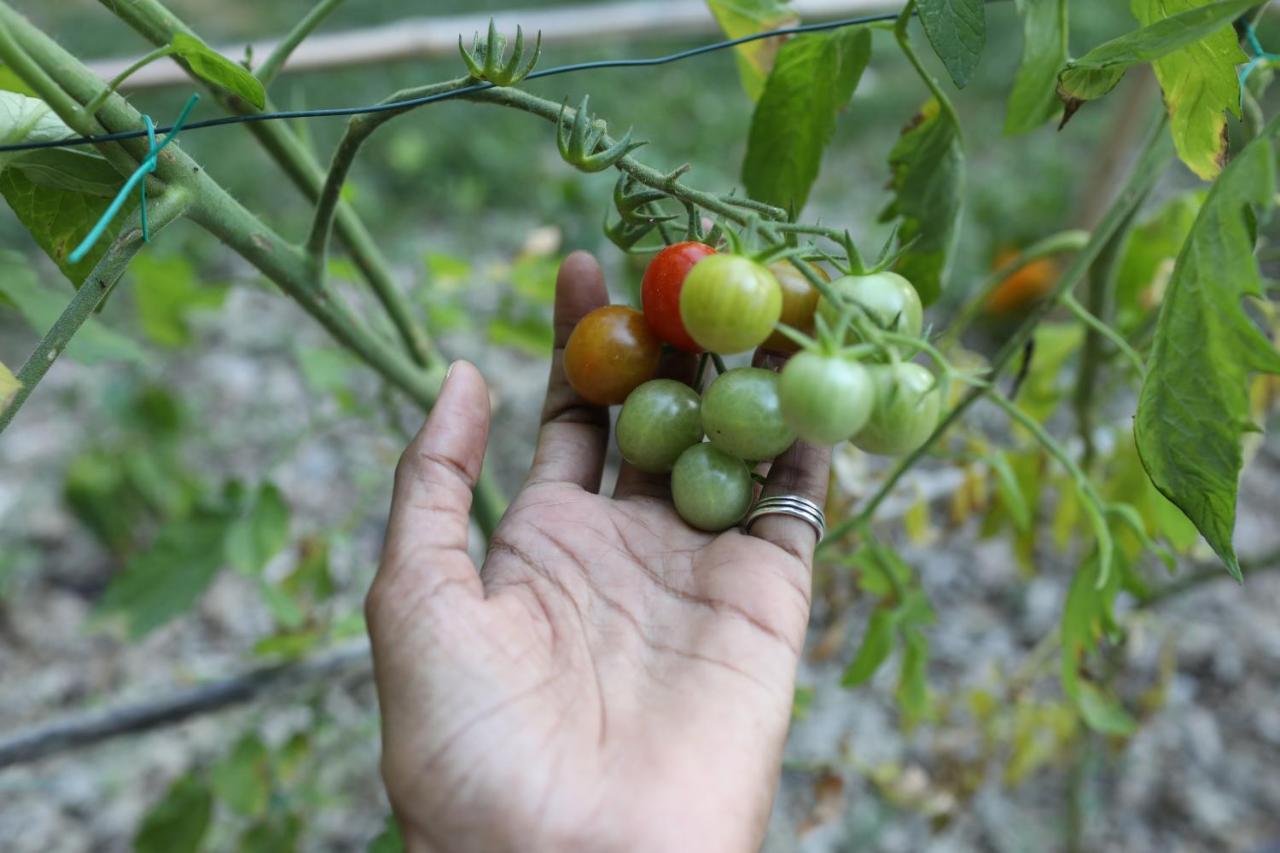 Maison Calme Et Verdure Saint-Cannat Εξωτερικό φωτογραφία
