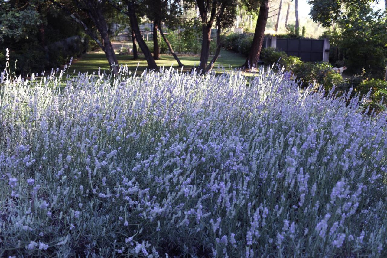 Maison Calme Et Verdure Saint-Cannat Εξωτερικό φωτογραφία