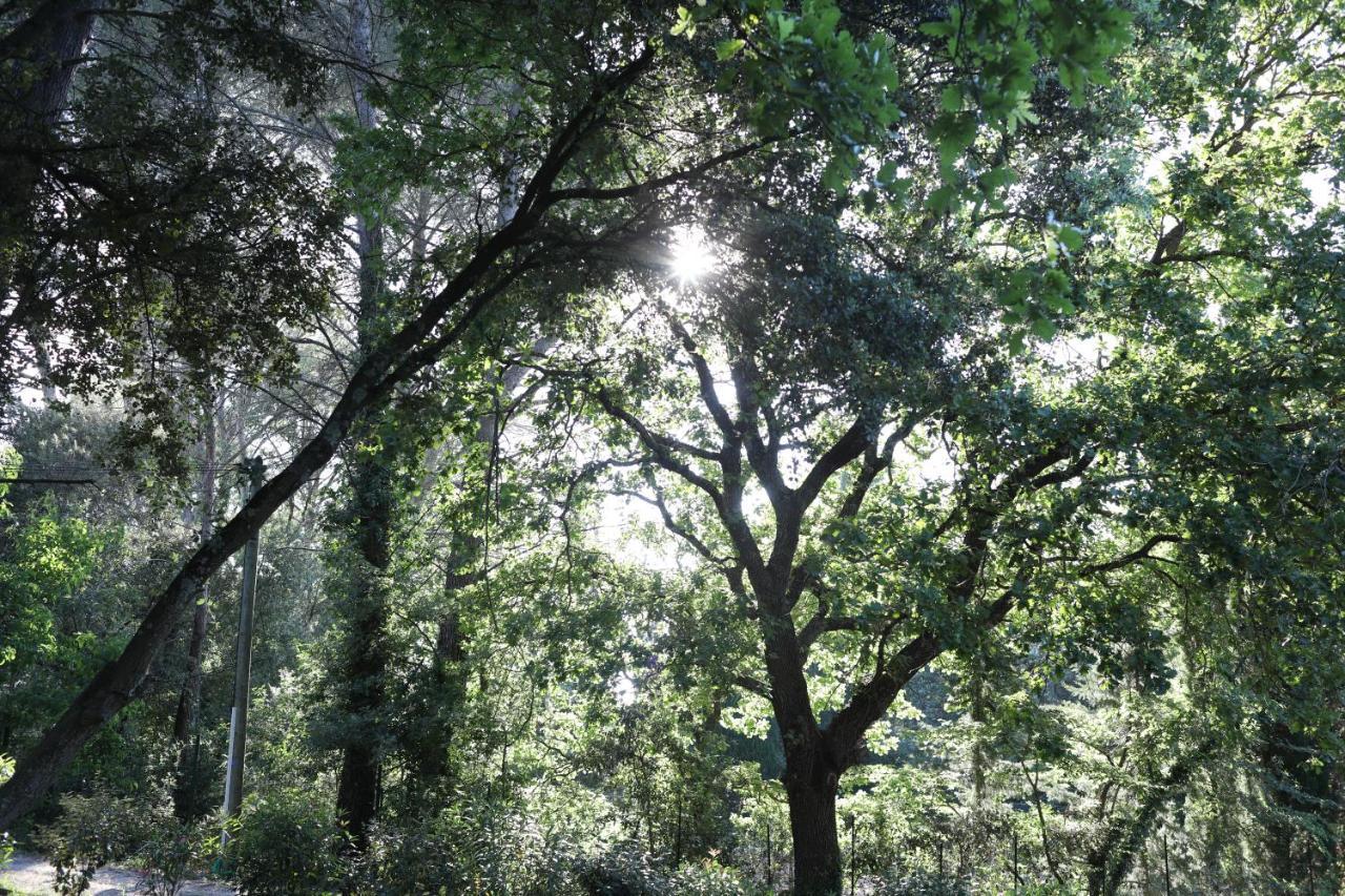 Maison Calme Et Verdure Saint-Cannat Εξωτερικό φωτογραφία